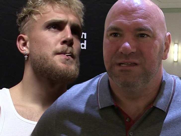 jake paul dana white