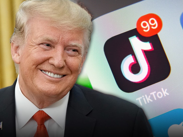 donald trump tiktok getty utama