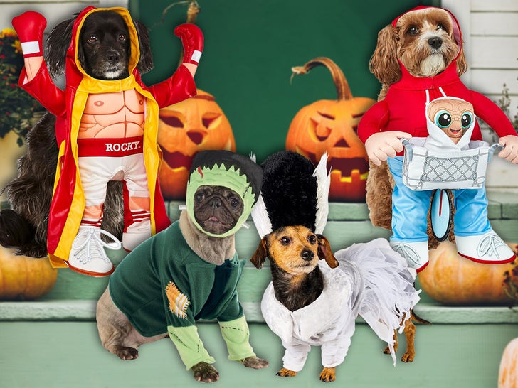 Amazon-Page-Costumes-Primary