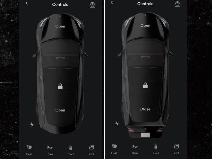 Controles abiertos de Tesla