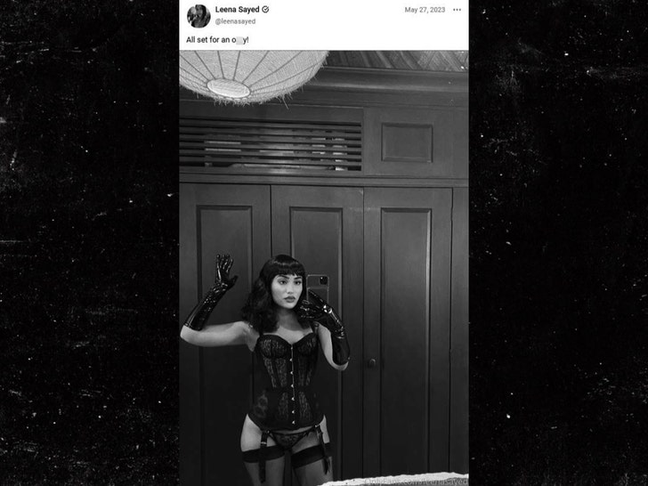 leena sayed sub blur