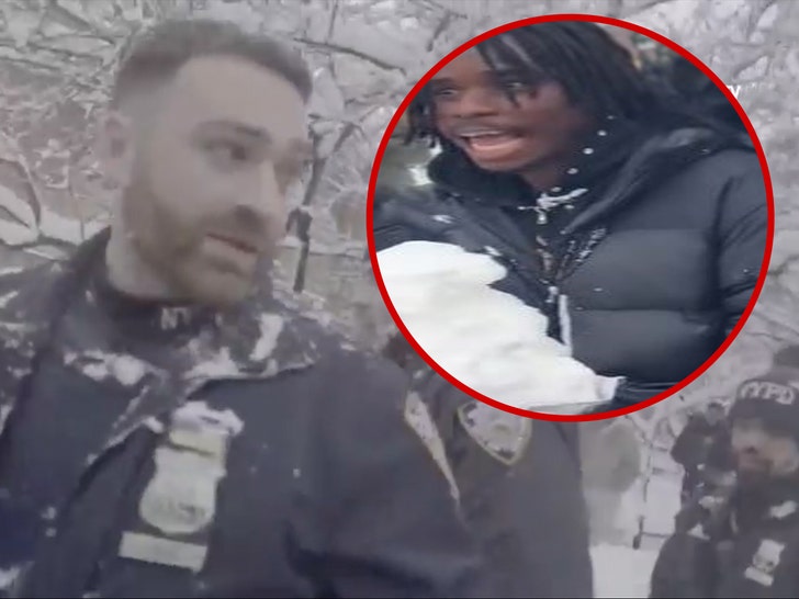 nypd snowball fight and Gusmane Coulibaly nypd 1