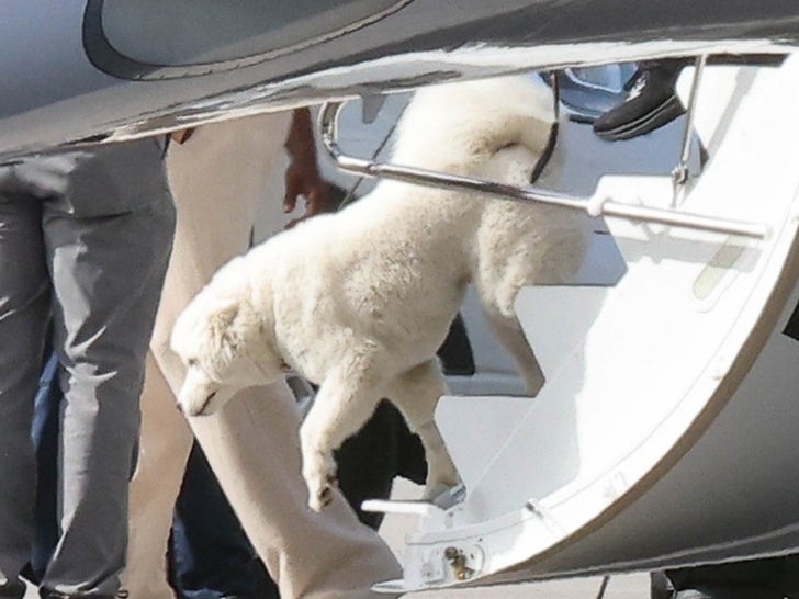 0713-Travis-Kelce-Taylor-Swift-Dog-Debut-Sub1