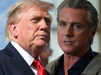 donald trump gavin newsom getty comp