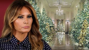 Melania Trump Plans to Decorate White House for Christmas One Last Time