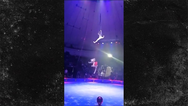 Circus Acrobat's Horrifying Drop Caught on Camera, Both Arms Broken