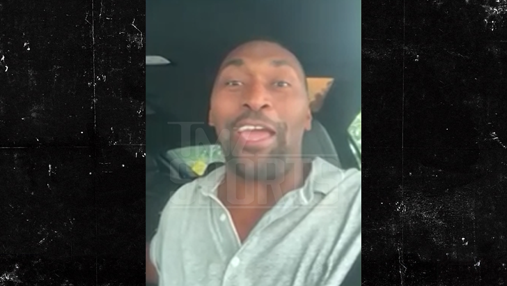 111325 metta world peace kal.jpg