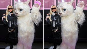 0425-Paris-Hilton-Frigin-Diff-hero