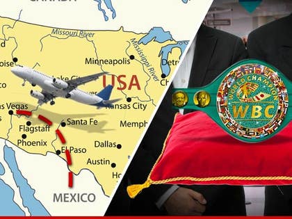 0416-manny-mayweather-security