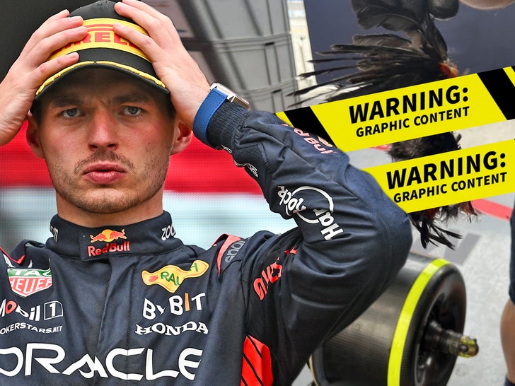 Max Verstappen Drove With Dead Bird Stuck To Car During Canadian GP Win -- Graphic Photo