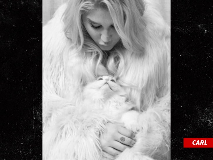 kesha cat death