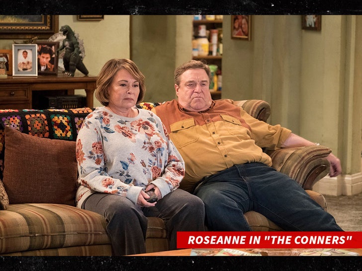 roseanne barr the conners shutterstock sub swipe