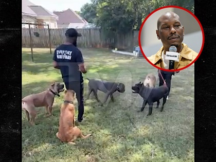 tyrese-dogs-primary-v2010-03-2025