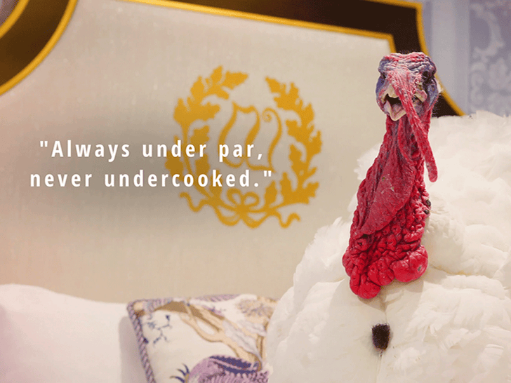 112525_white_house_turkey_funny_primary