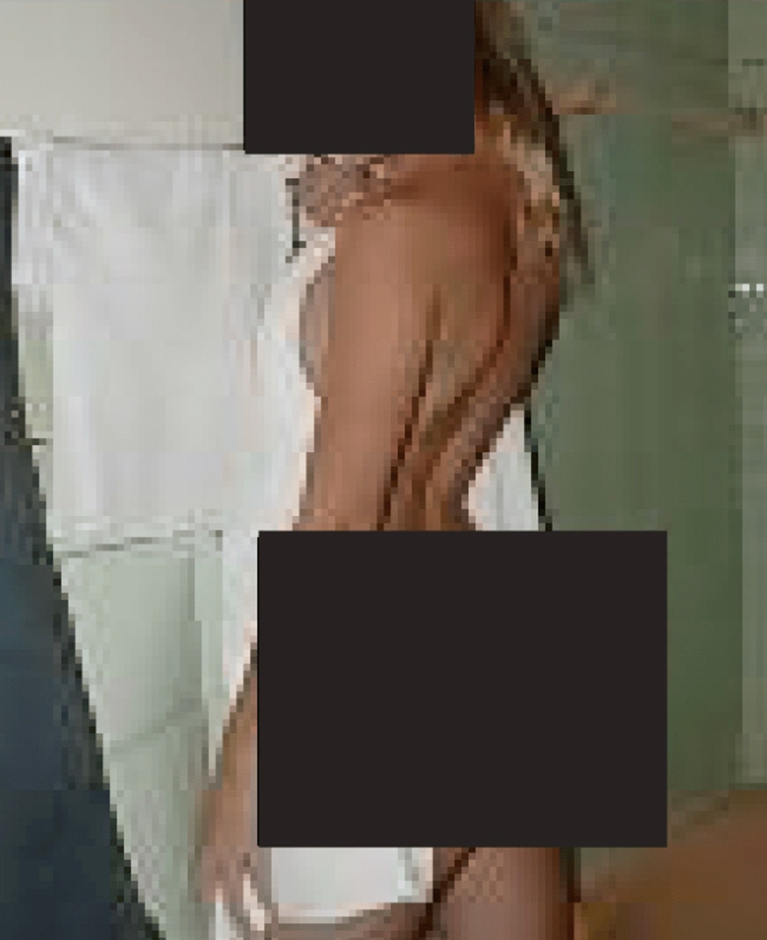 Jeffrey Epstein Alleged Porn Consumption 5