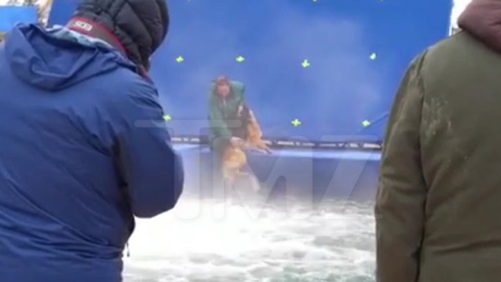 tmz a dogs purpose video