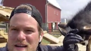 'Saved by the Barn' Star Rescues Animals, Supports Veganism Amid Pandemic