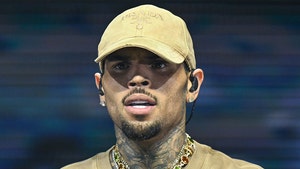 chris brown arrested getty 1