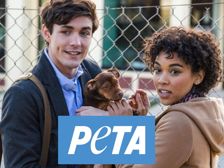 a dogs purpose peta