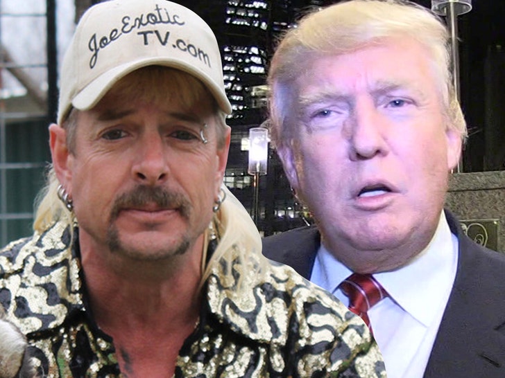 1216-joe exotic donald trump tmz netflix