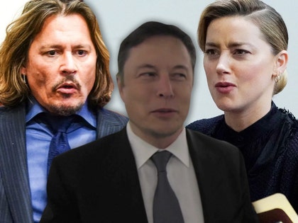 johnny depp elon musk amber heard