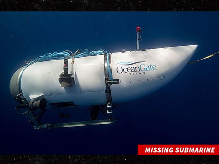 ocean gate Missing Submarine