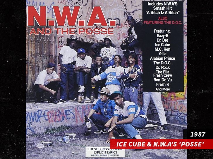 Ice Cube & N.W.A's 'Posse'