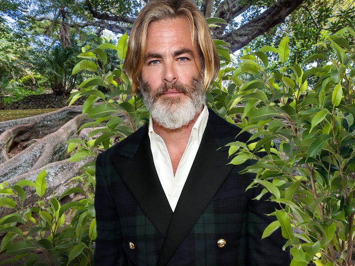 Chris Pine at War with His Neighbor Over Ficus Trees
