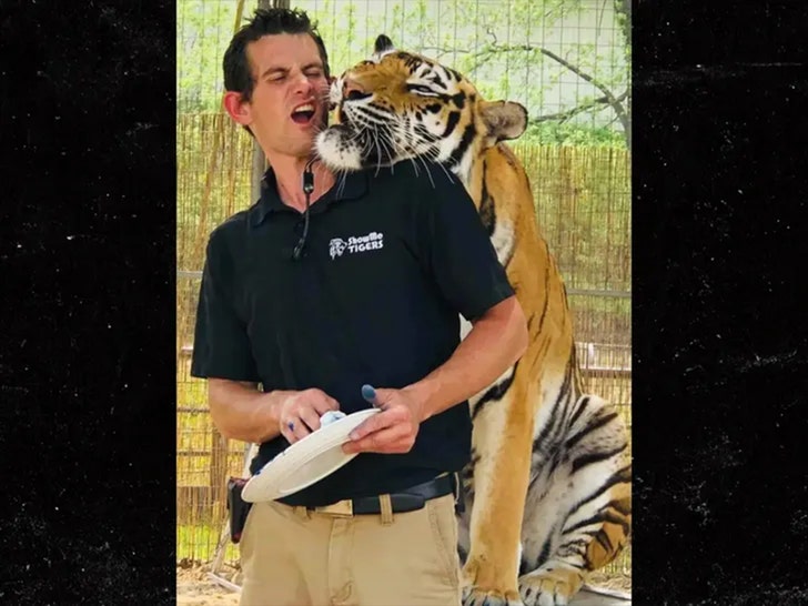 Ryan Easley is seen taking part in a tiger show. He's wearing a black polo shirt and khakis, and a tiger is resting its head on his shoulder.