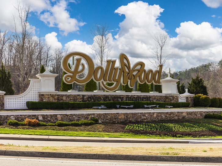 dollywood istock