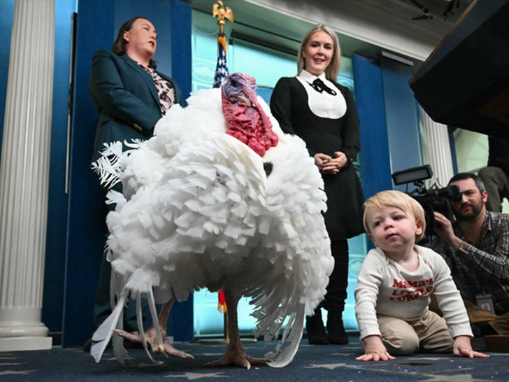 Karoline Leavitt getty 3