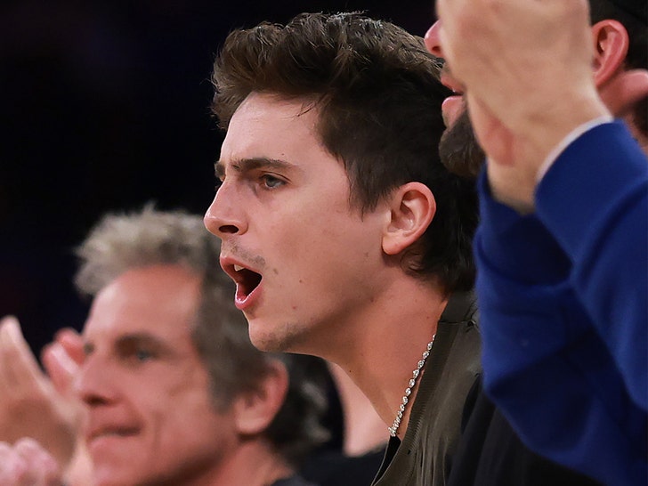 Timothee Chalamet getty 3