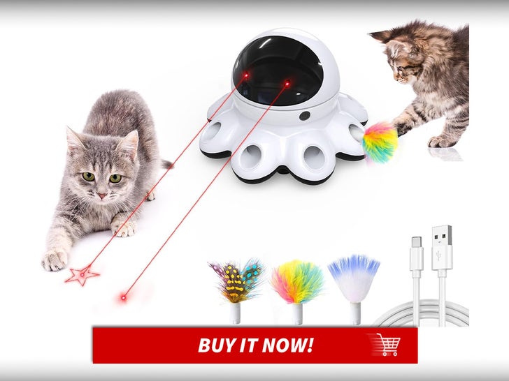 Interactive-Laser-Toy-International-Cat-Day-MAIN