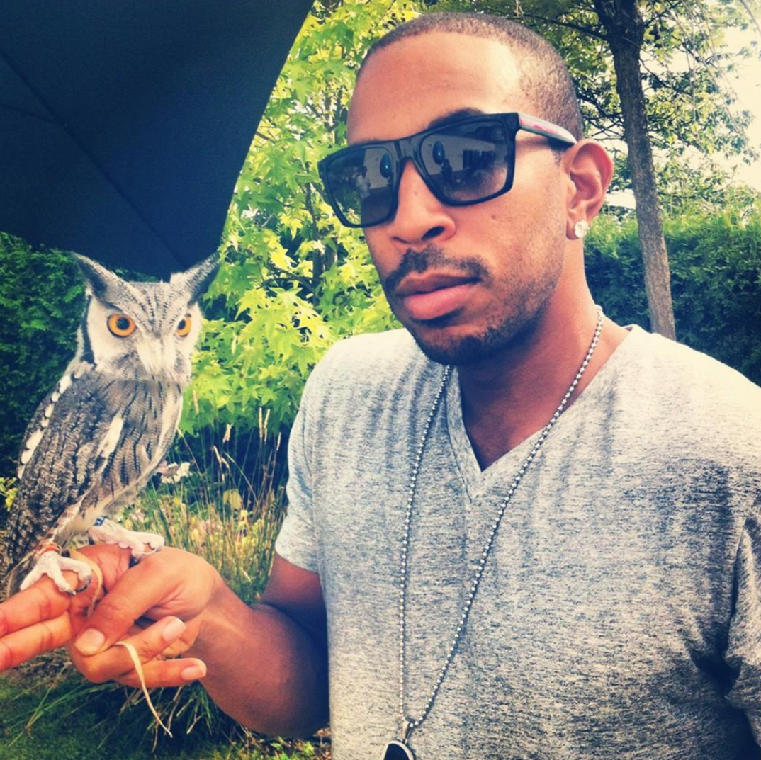 Ludacris