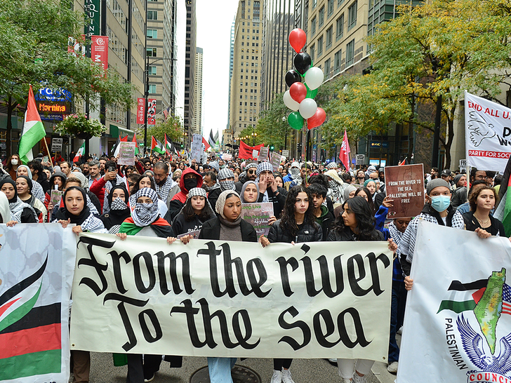 BLM Chicago backs Palestine after Hamas terrorist invasion of Israel