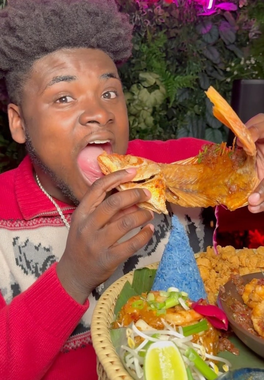 Remembering Marquay The Goat 6