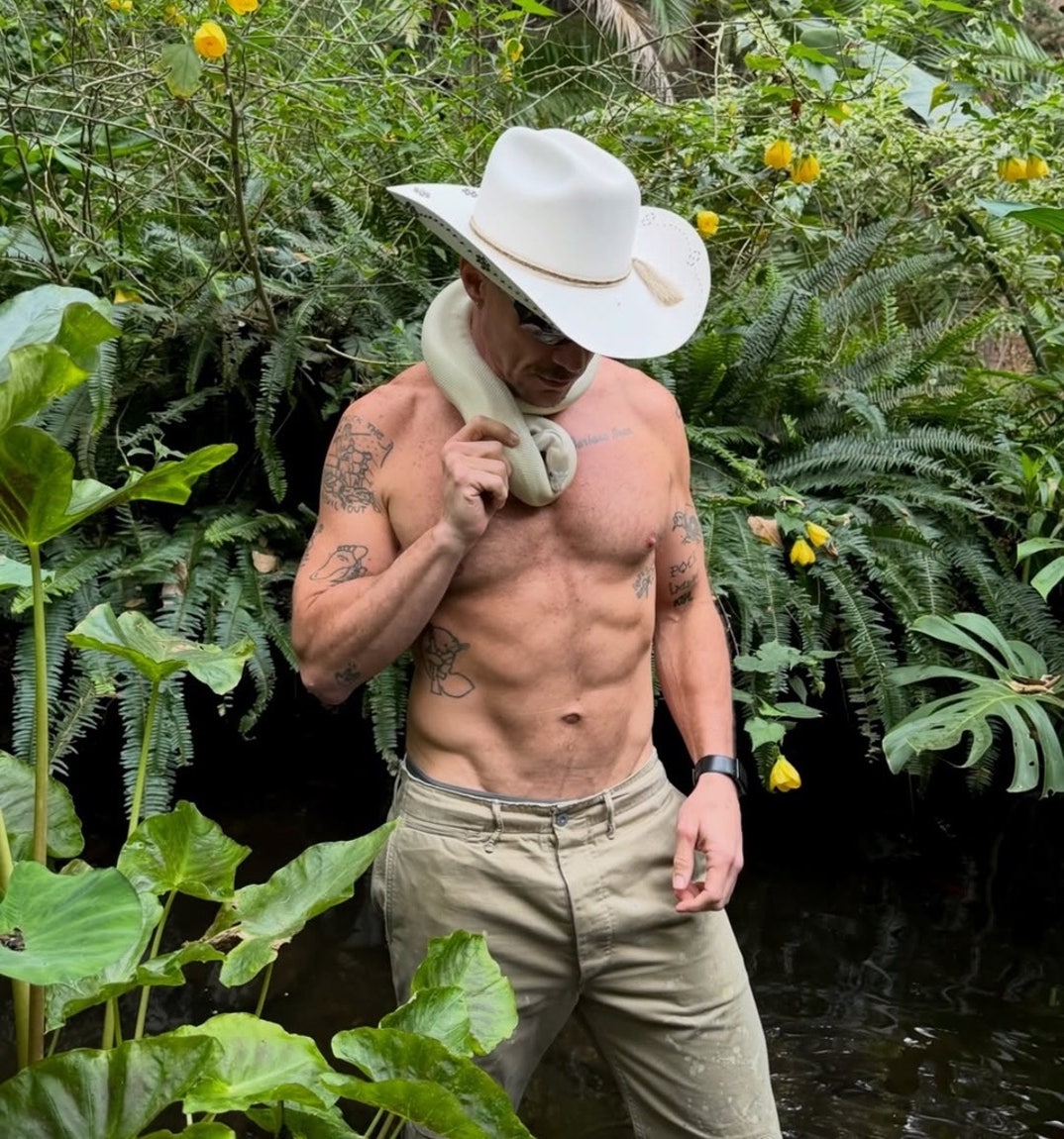 Diplo
