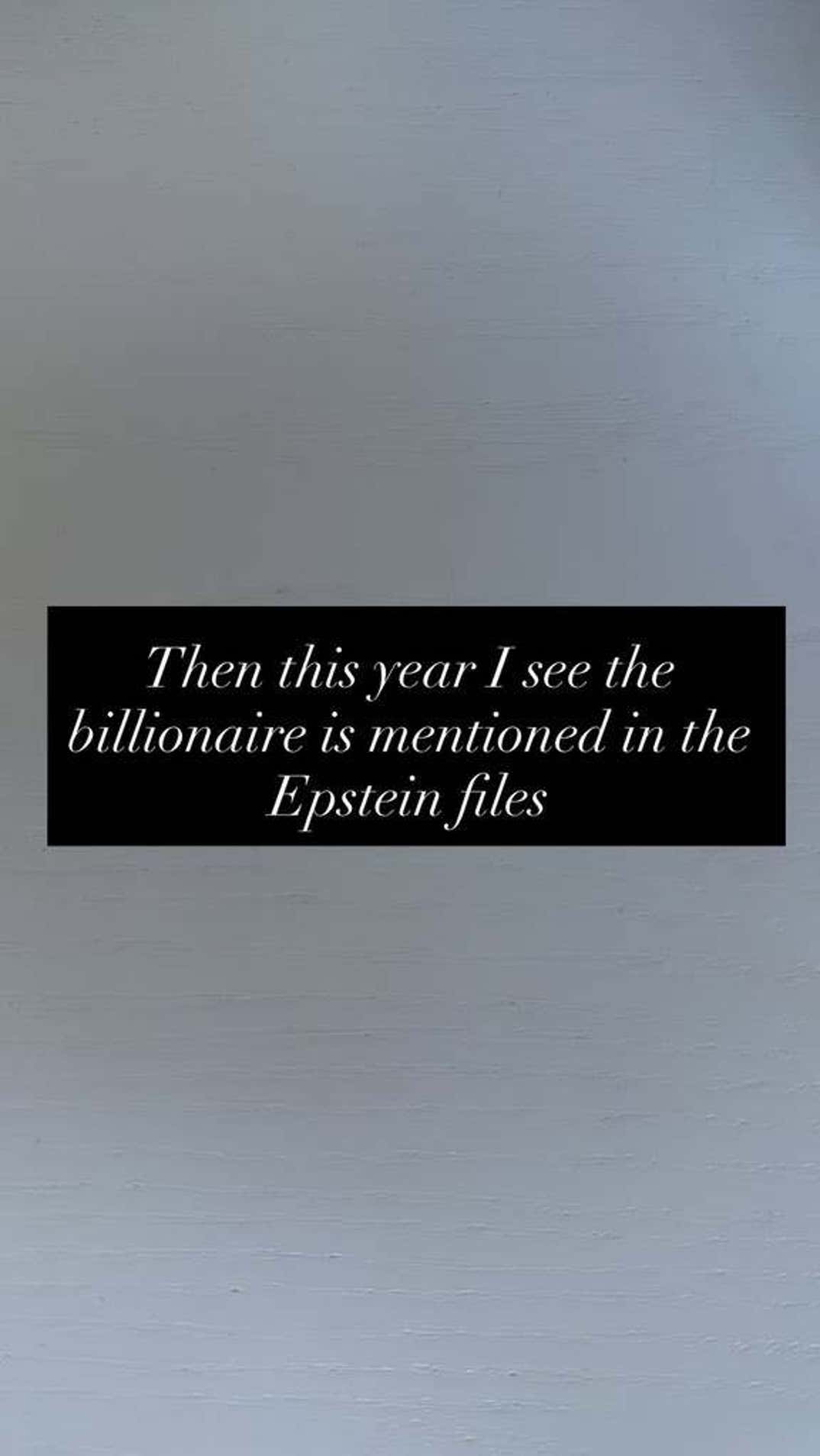 Rebel Wilson Trashes Billionaires On Instagram Stories 6