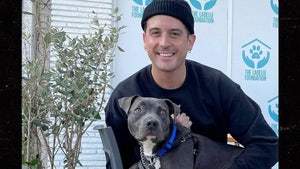 G-Eazy Adopts 8-Month-Old Pit Bull That Was Abused by Homeless Man