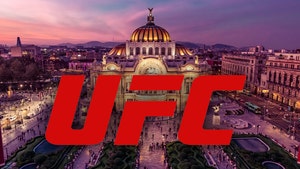 ufc mexico city istock