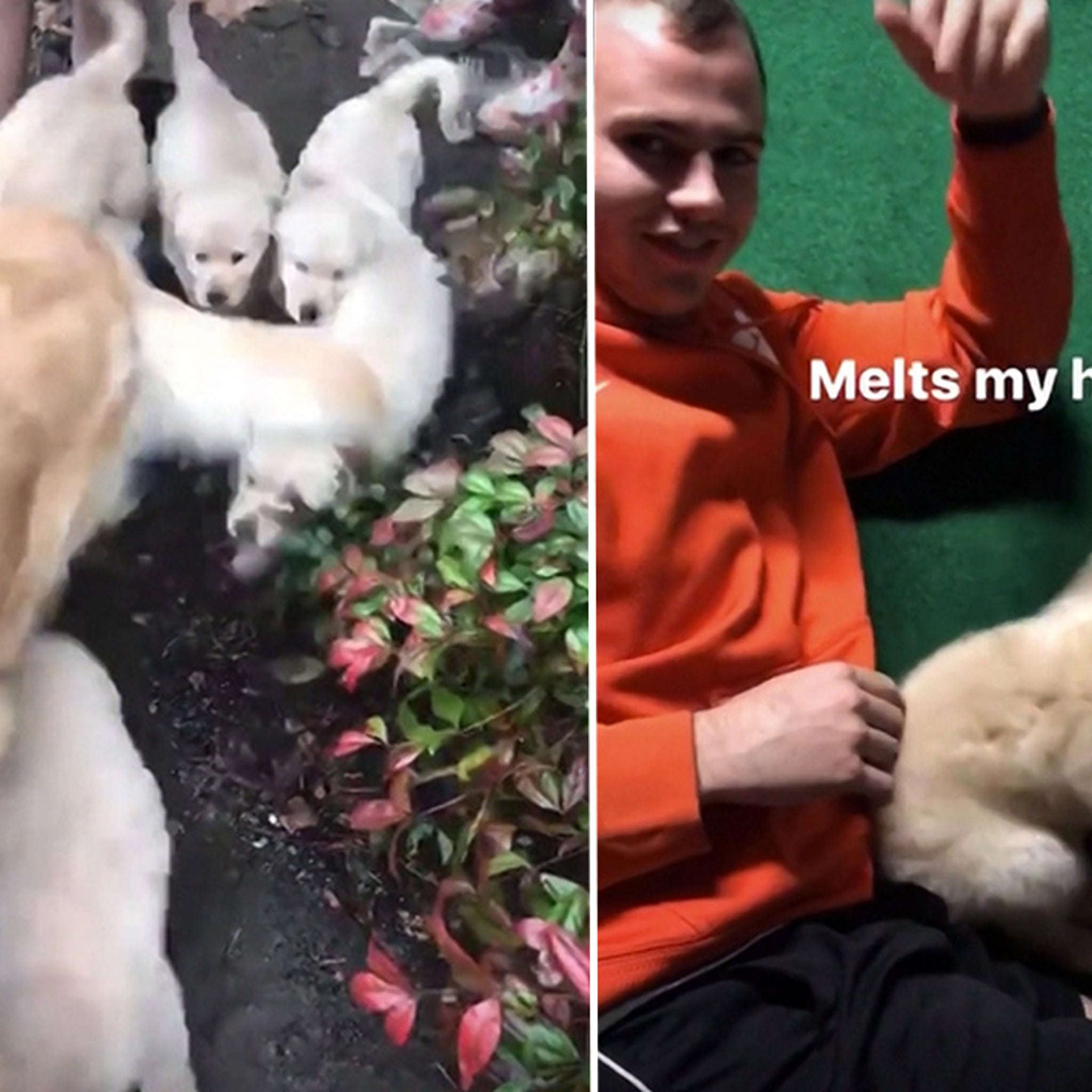 Hunter Renfrow Gets VICTORY PUPPY  And He's Adorable (PHOTO GALLERY +  VIDEO)