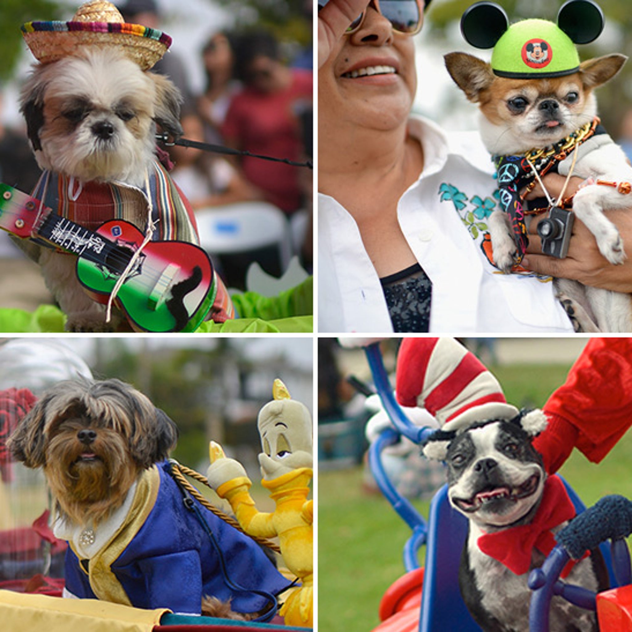 goat costume for dogs