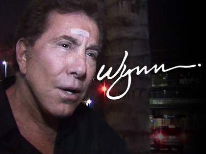 0408-steve-wynn-tmz-01