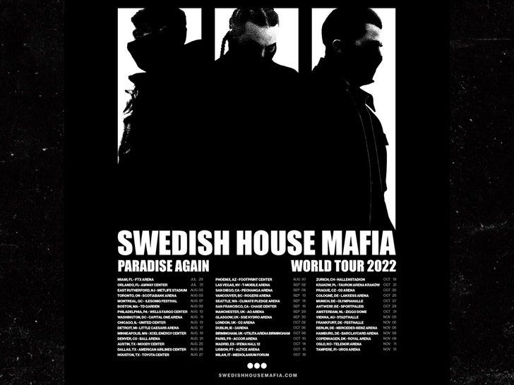swedish house mafia tour support act
