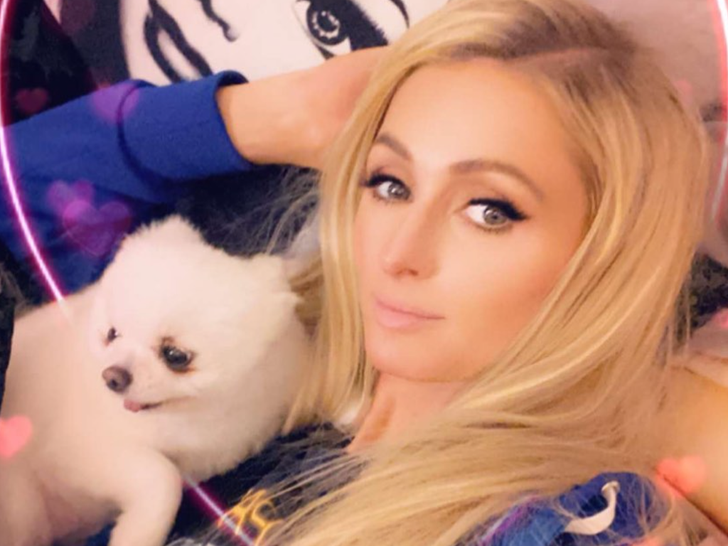Paris Hilton With Her Pets