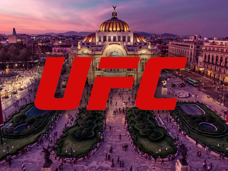 ufc mexico city istock