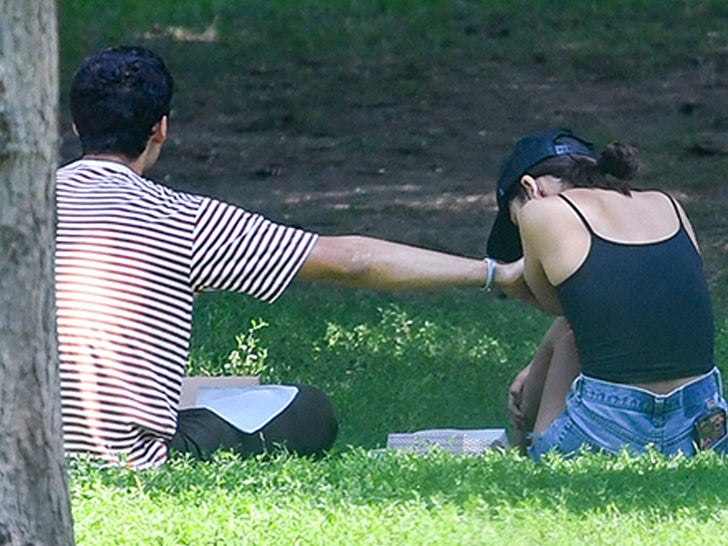 0727-Olivia-Rodrigo-Park-PDA-SUB