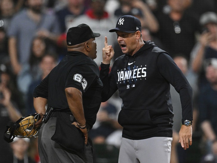 Yankees manager Aaron Boone's hilarious NSFW exchange with umpire