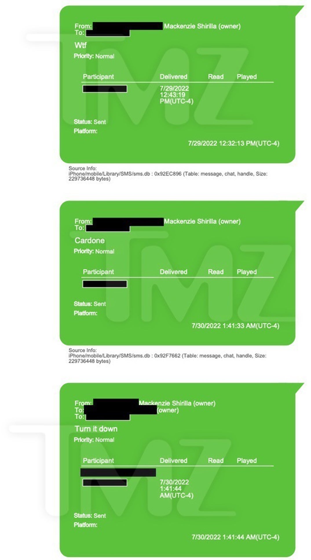 Mackeznie Shirilla Last Texts With Dominic Russo 13