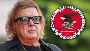 'American Pie' Singer Don McLean Drops Out of NRA Conference